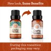Frankincense Essential Oil 2-Pack, Aromatherapy Oil for Relaxation, Massage, Diffuser