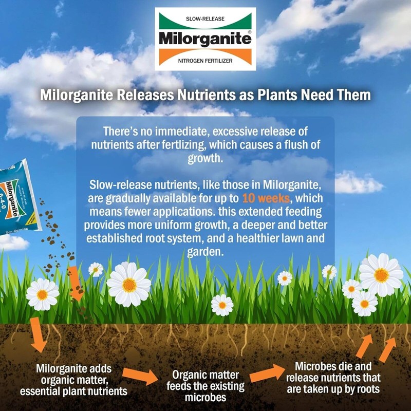 Milorganite All-Purpose Eco-Friendly Slow-Release Nitrogen 6-4-0 Fertilizer, 32 Pound Bag