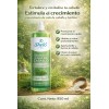 Shampoo Cola Caballo 950ml Crecimiento Shelo Nabel