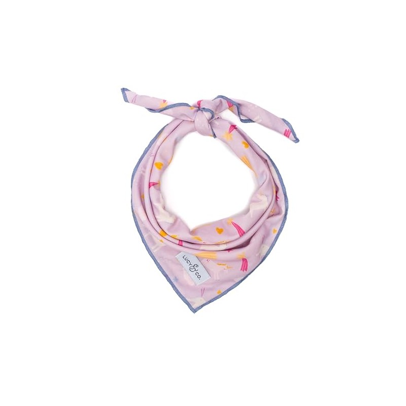 Lucy & Co. Unicorn Magic Bandana - Designer Puppy Accessory.