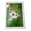 Digital Photo Frame Multifunction 10.1inch IPS HD Screen Support Slide