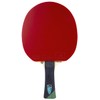 Tibhar Alexis LEBRUN Table Tennis Bat