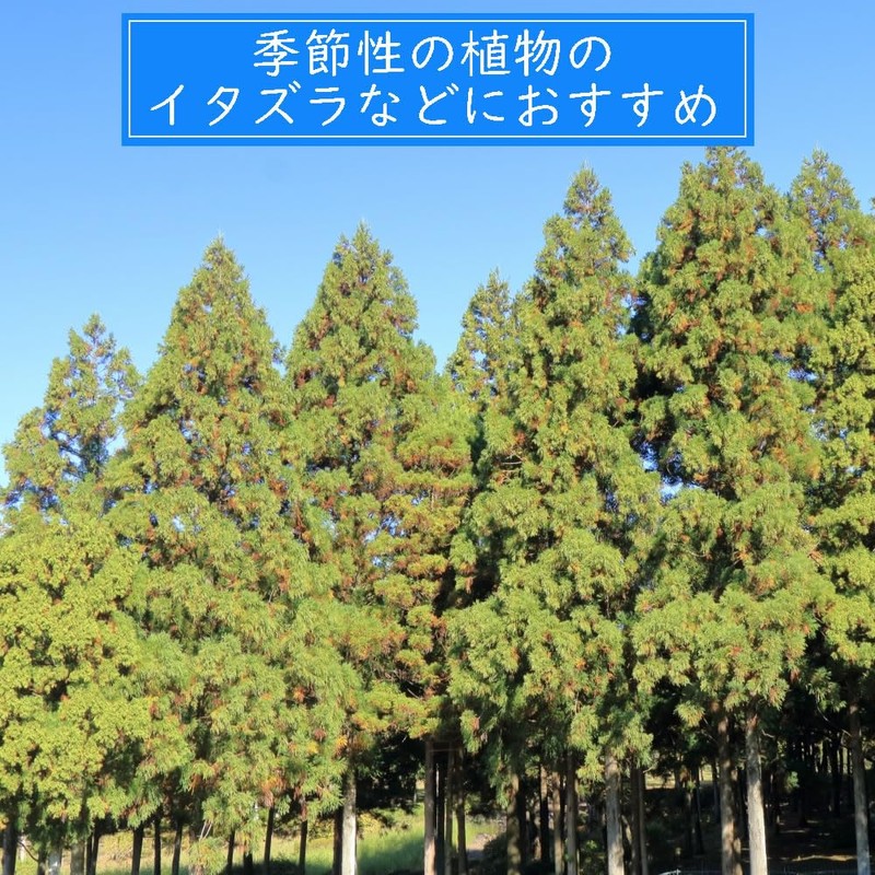 ネトルティー50g（カット) | 農薬検査済 ノンカフェイン 西洋イラクサ ねとる ネトルリーフ ハーブ ハーブティー 茶