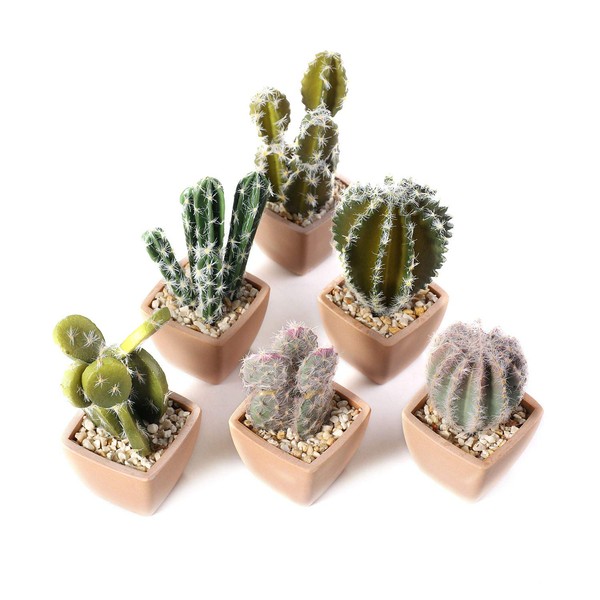 T4U Artificial Houseplant Fake Green Artificial Cactus Group Plant No Care Home Decor Gift Plastic Set of 6
