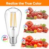 WIHTU LED Light Bulbs, Bright Vintage 6W LED Edison Bulbs,