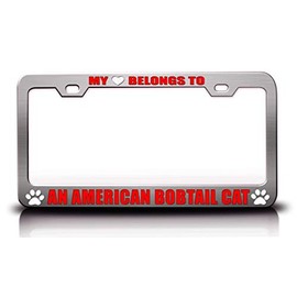My Heart Belongs to an American Bobtail CAT Pet Cats Dogs Metal License Plate Frame Style 6 Chrome