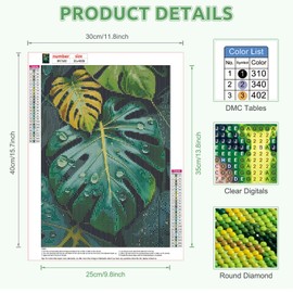 EOBROMD Diamond Painting Adult Monstera Deliciosa, 5D Diamond Painting Pictures, Adult Plant, DIY Diamond Painting Pictures, Diamond Painting Set for Wall Decoration, 30 x 40 cm