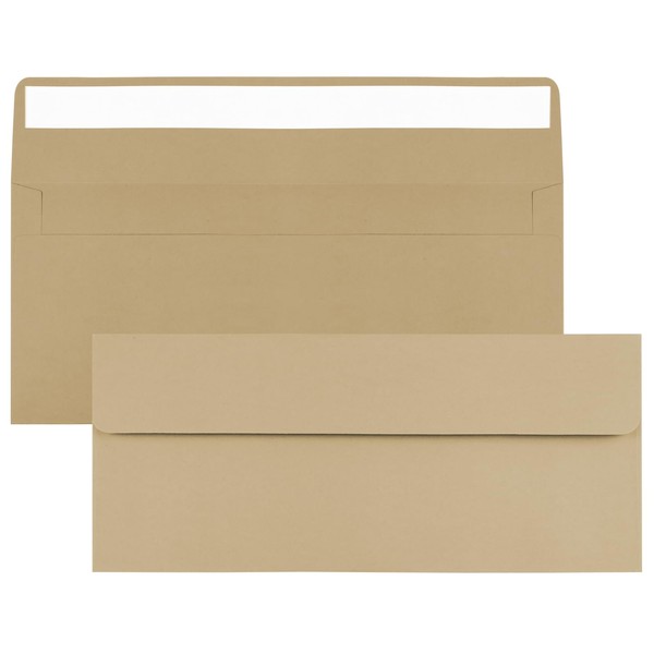 CINSOEN 100 Pack Kraft #10 Business Envelopes, Standard Envelopes Self