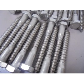 Fastenal 5/16 x 3" Lag Bolts / Screws Hex Head 18-8 Stainless Steel Qty 25