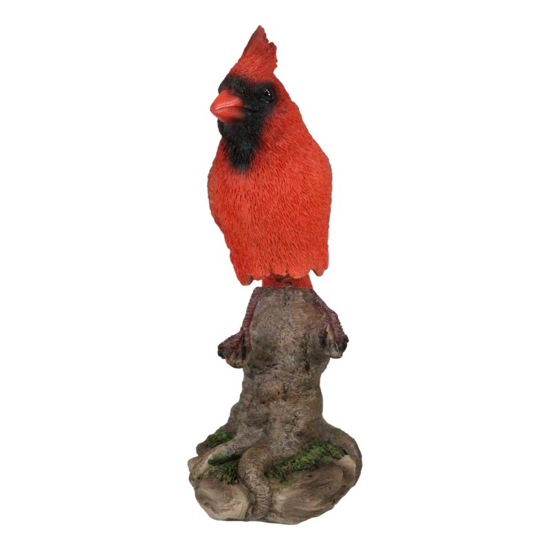 Wild Northern Red Cardinal Bird Perching on Tree Stump Spring