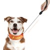Enjoying Dog Retractable Leash Collar, All-in-One Dog Collar, Built-in Retractable