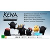 Kena: Bridge of Spirits - Premium Edition [XBX]