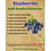 FruitCeuticals Organic Blueberry Powder Made with 100% Whole Fruit Wild
