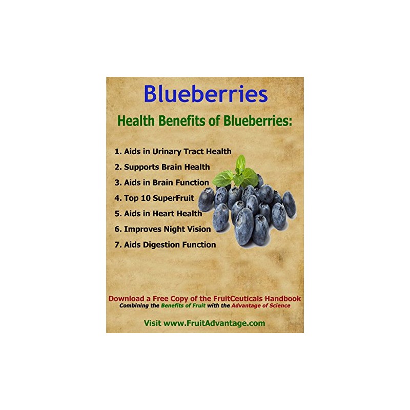 FruitCeuticals Organic Blueberry Powder Made with 100% Whole Fruit Wild