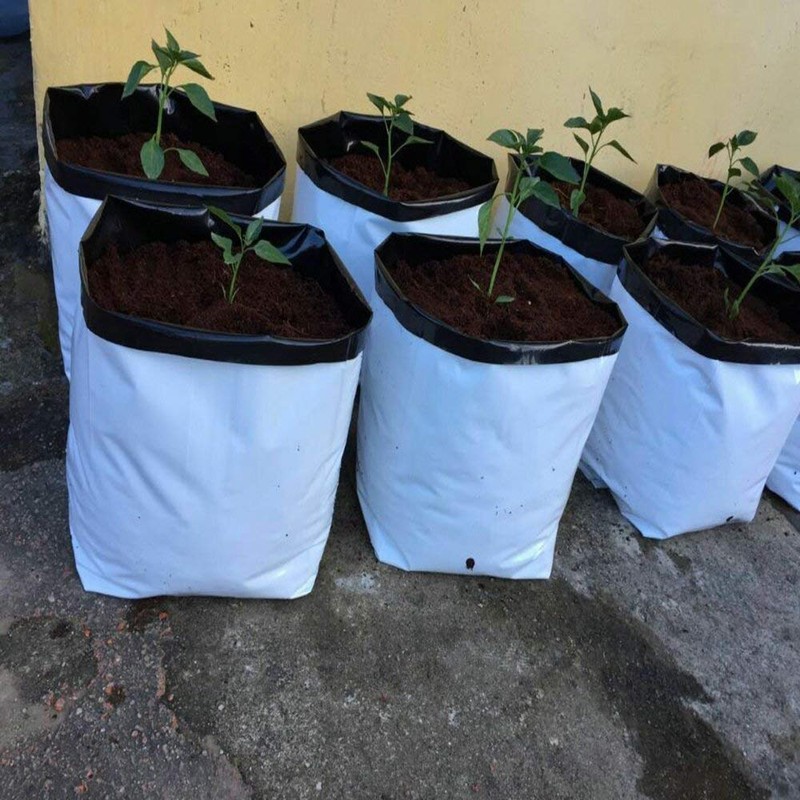 VIVOSUN 50-Pack 5 Gallon Grow Bags for Plants, Black-and-White Thick