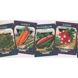 CONCORD WALLCOVERINGS ™ Wallpaper Border Country Pattern Garden Vegetables for Kitchen Farmhouse Cottage, Green Navy Blue Pink Orange, 15 ft by 9 in KR2454B