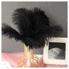 Anseom 12Pcs Ostrich Feathers 8-10 inch Natural Ostrich Feathers Crafts