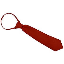 Boys Solid Satin Long Tie From Baby to Teen (8-14, Red)