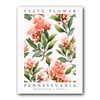 Mountain Laurel, Pennsylvania State Flower, Poster Print, Wall Décor, Multiple