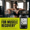 NutraBio- BCAA 2500 Aminoácidos de Cadena Ramizada Apoya el Nuevo