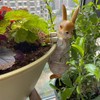 Garden Rabbit Statue Animal Statue Resin Climbing Rabbit Sculpture for