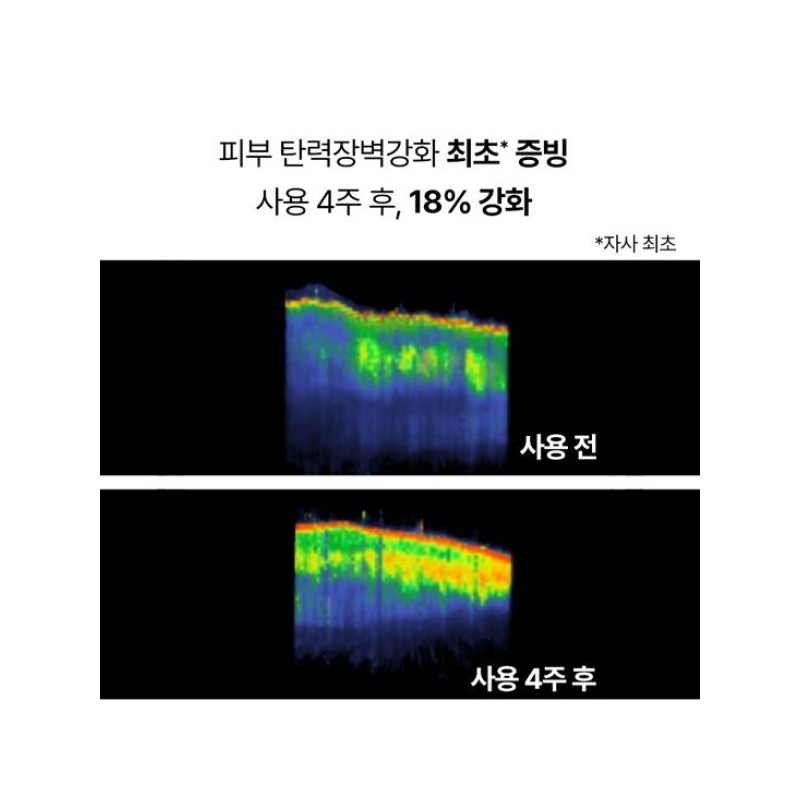 Innisfree 이니스프리 콜라겐 탄력 장벽 크림 리필 50mL Innisfree Collagen