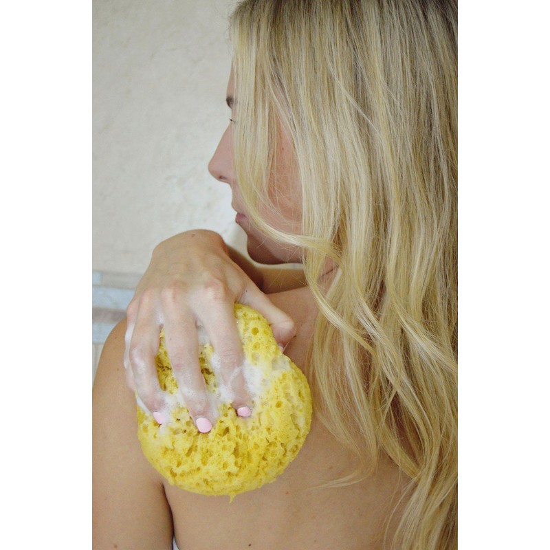 PARADISO Evriholder Sea Foam Body Sponge for Scrubbing and Exfoliating,