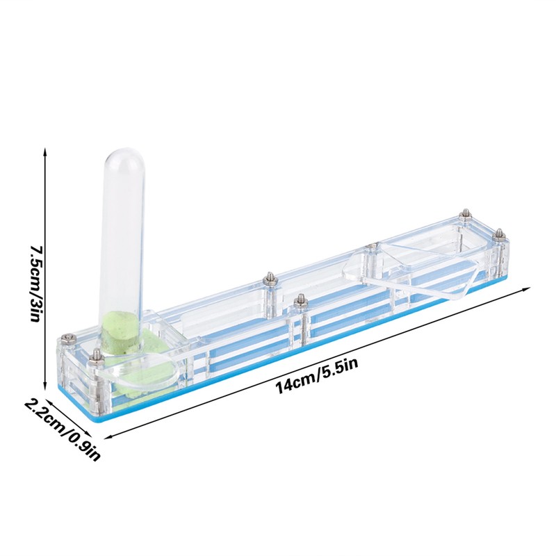 Acrylic Ant Breeding House Nest Formicarium Display Box with Water