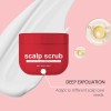 Exfoliante Para El Cuero Cabelludo - Exfoliante De Romero