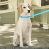 YUCFOREN 10FT 15FT 20FT Anti-Choke Long Slip Lead Dog Leash,
