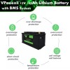 VPauexii 12V 100Ah Lithium Battery LiFePO4 Battery for Solar Pannel