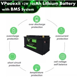 VPauexii 12V 100Ah Lithium Battery LiFePO4 Battery for Solar Pannel RV Boat