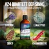 NORDHOLZ® Saunaaufguss [54 Sorten 15ml, 100ml, 250ml] - Sauna Aufgussmittel