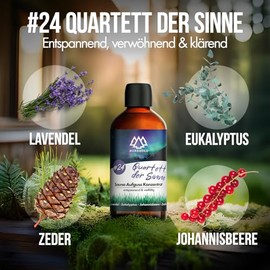 NORDHOLZ® Saunaaufguss [54 Sorten 15ml, 100ml, 250ml] - Sauna Aufgussmittel für intensive & erholsame - Sauna Zubehör (#24 Quartett der Sinne, 250ml)