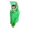 Baisdan Kids Isis Wings (Wings + Stick+ Carrying Bag) Belly