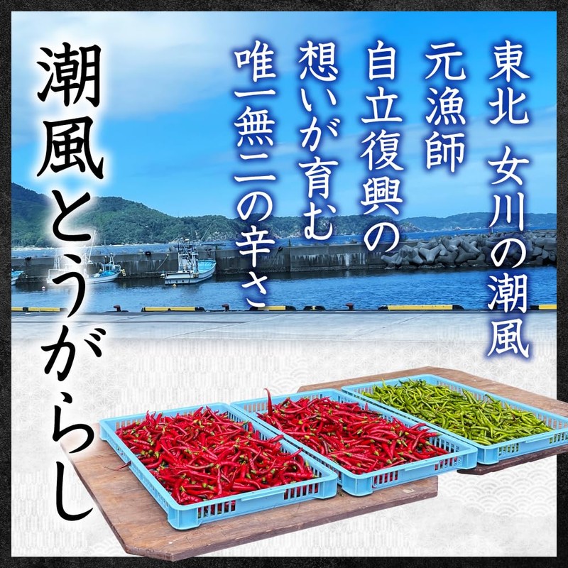 Shiokaze Pepper Miyagi Prefecture Onagawa Domestically Produced Mineral, One and