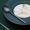 Black Dinner Spoons 6 Pieces, Kyraton 19cm Stainless Steel Titanium