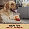 Real Hide | All Natural Dog Chew Treats - Premium