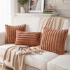 DEELAND Pack of 2,Double-Sided Faux Fur Plush Decorative Throw Pillow