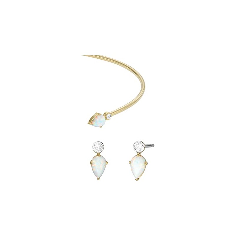 Fossil JF04321SET Jewellery