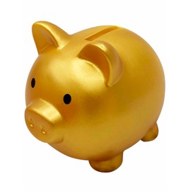 RIMINA Piggy Bank 500 Yen Coin, Children, Pig, Unbreakable Gift, (Small, Gold)