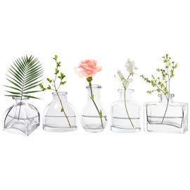 Loccmat Mini Glass Bud Vases Set of 5,Small Vases for Centerpiece,Small Vase for Flowers,Mini Glass Flower Vase for Wedding, Party, Table Home Decor