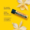 Burt's Bees Lip Balm Vanilla Bean Lip Moisturizer 2 Tubes