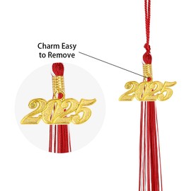 Graduation Tassel 2025, Red and White Tassels for Graduation Hat 2025 with Gold 2025 Tassel Charm, 2025 Tassel Graduation for Graduation Party Decorations, Graduation Gifts for Her, Red and White