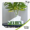 The Cheeky Panda Bamboo Facial Tissues | Sustainable Tissue Box
