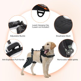 LISPOO Dog Knee Brace for Torn Acl Hind Leg, Dog Knee Brace for Luxating Patella Effective Knee Brace for Dogs，M