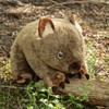 lilizzhoumax Simulation Wombat Plush Toy 28cm/11”, Realistic Stuffed Animal Cute
