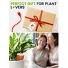 4 Pcs Ollas Terracotta Watering Pots Large - 14 Oz