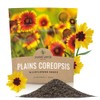 Plains Coreopsis Seeds – Native Flowers – Extra Large Packet