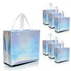 Nush Nush Set of 30 Iridescent Gift Bags in Bulk